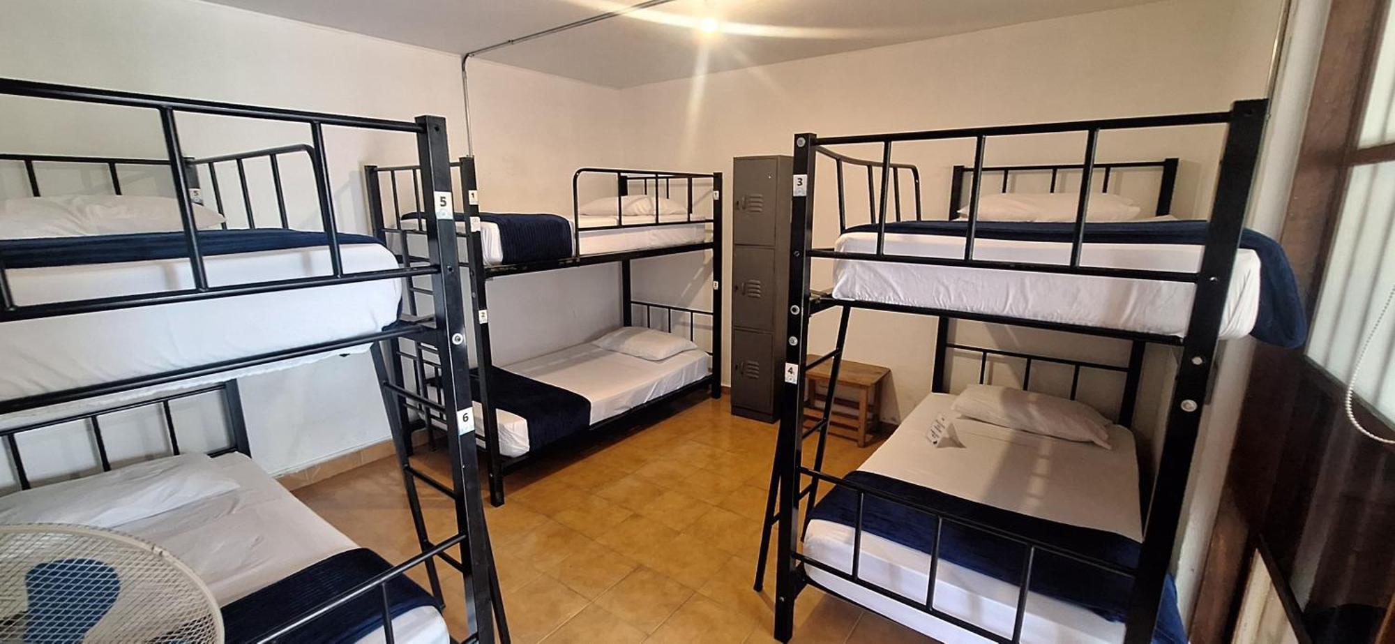Yolo Hostel 麦德林 外观 照片